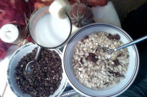 OverheadGranolaShot_11-2-13