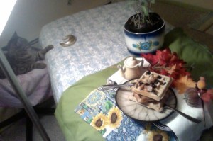 SkylightJadaHarvestWaffle